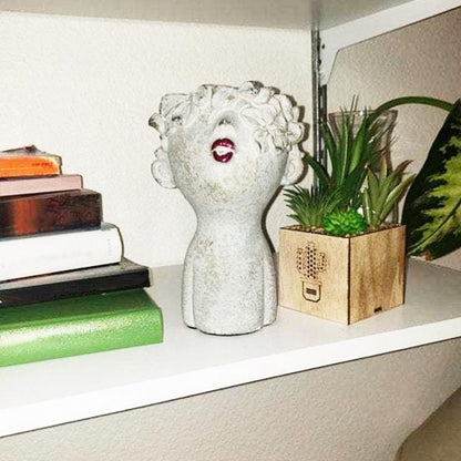 Face Planter Pot Decor