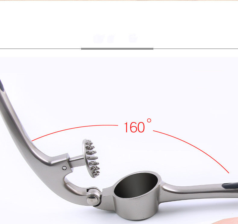 Ręczna prasa do czosnku