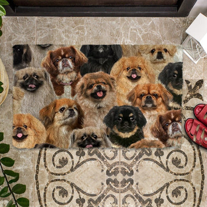 Christmas Coral Fleece Entrance Mat